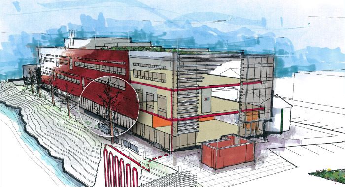 Center for Urban Waters building cutaway: tree snags